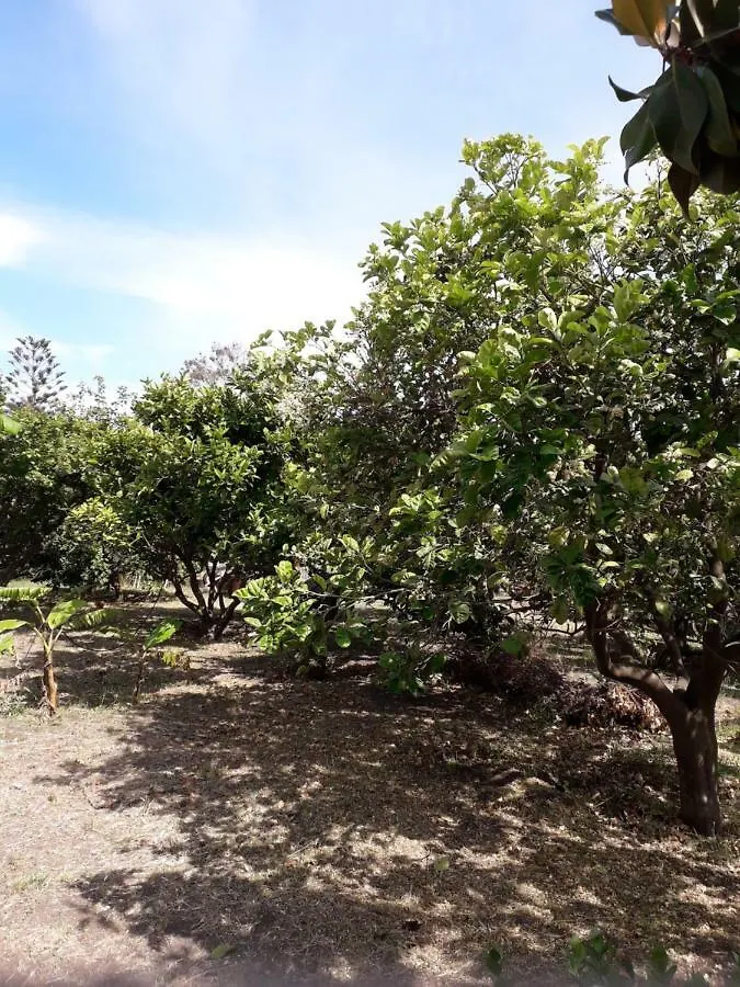 Séjour chez l'habitant Casa Agrumeto Stromboli